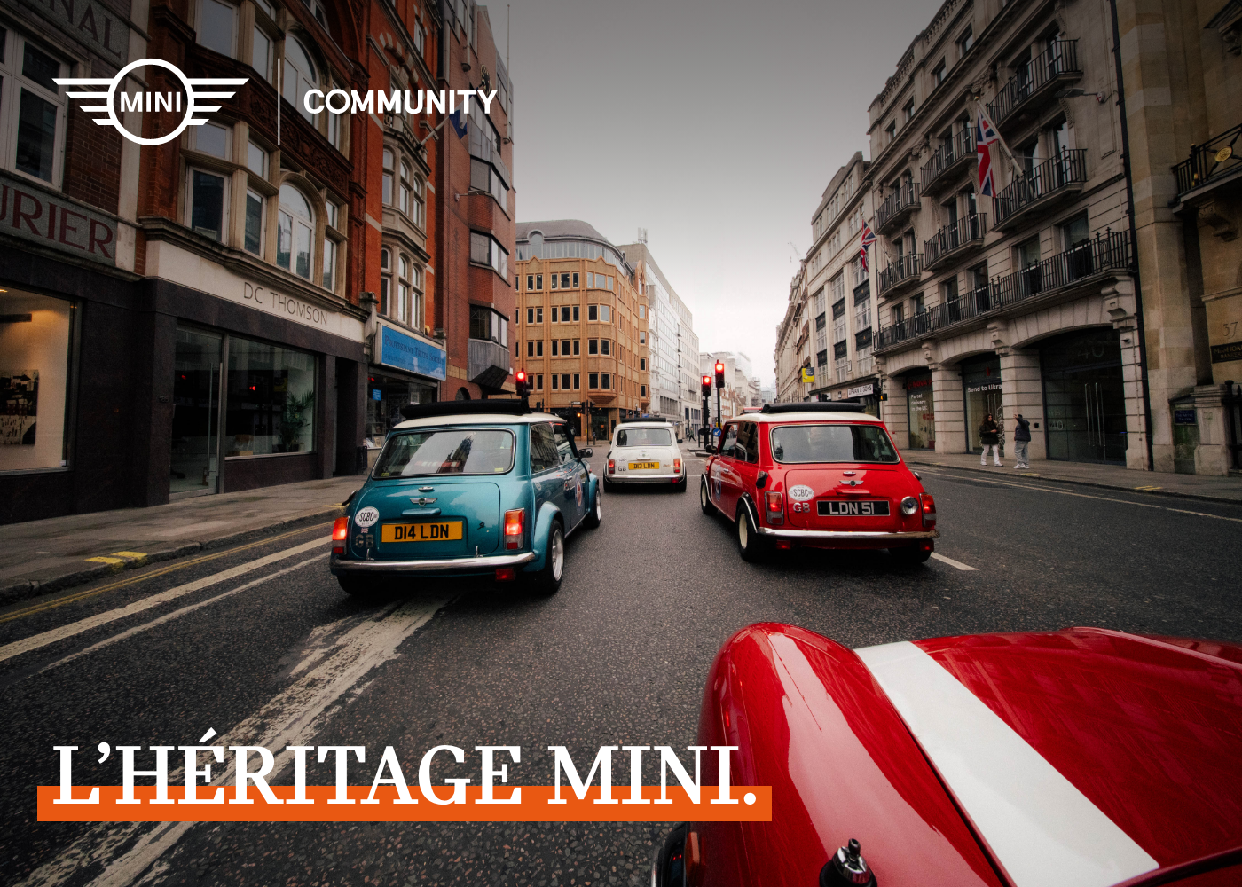 MINI SOCIETY